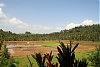 Indien, Kerala