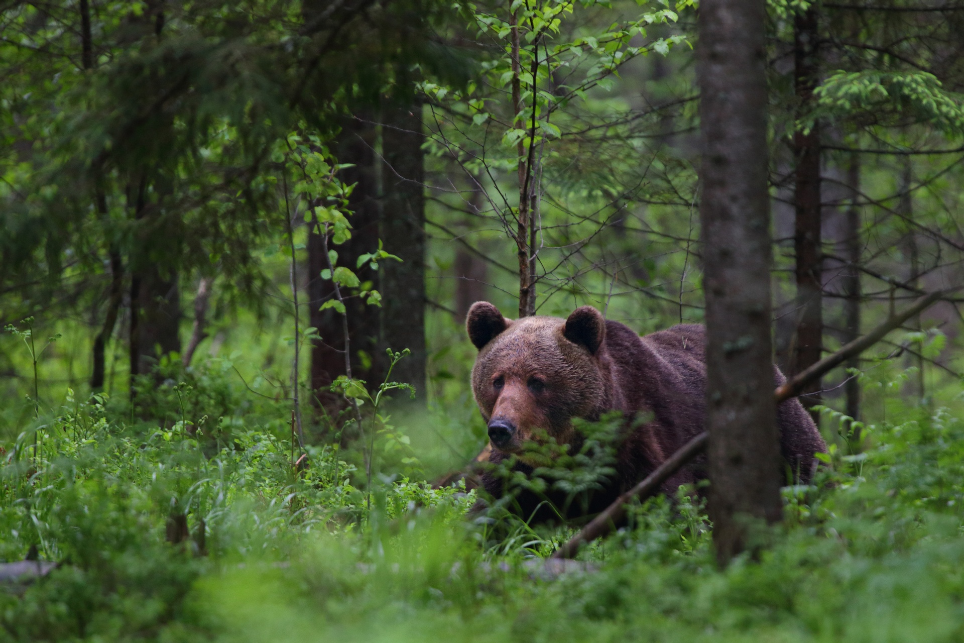 Foto: Visit Estonia / Remo Savisaar