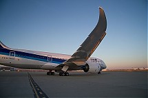 All Nippon Airways im Aufwind Foto: ANA