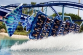 Foto: SeaWorld