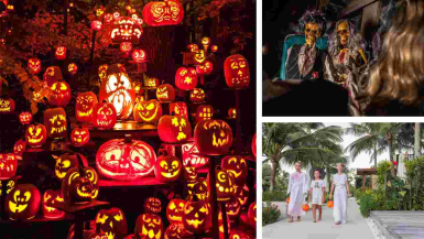 USA-Halloween-als-Kulturerlebnis-Von-Louisville-bis-Long-Island