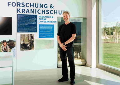 MV-Er-ffnung-der-gr-ten-Kranich-Ausstellung-Deutschlands