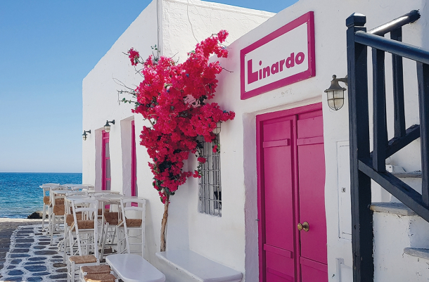 Foto: Springer Reisen