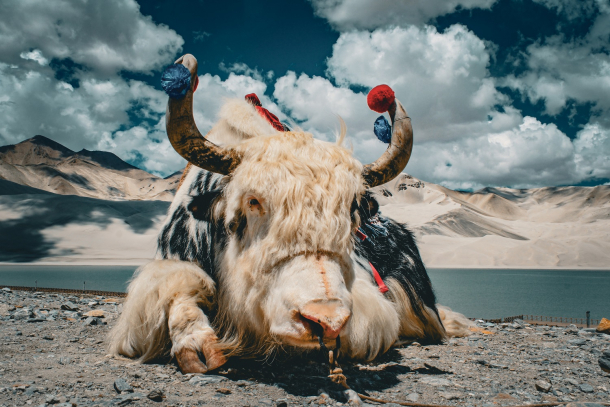 Mit-Eberhardt-Travel-18-Tage-nach-Xinjiang