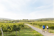 Foto: Astrid Bartl / Niederösterreich-Werbung