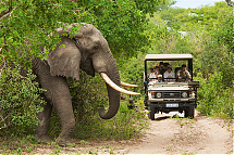 Foto: South African Tourism