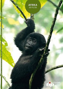 Afrika 2019/2020