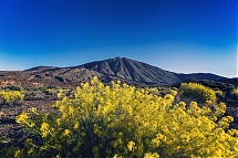 Foto: Turismo de Tenerife