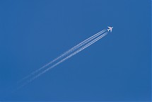 Foto: EvgenySHCH / shutterstock.com