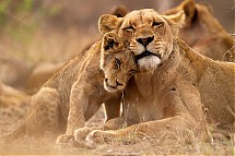 Foto: Thomas Retterath / shutterstock.com