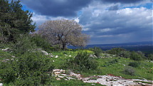 Foto: Israeli Ministry of Tourism / Itzik Ben Dov_Society for the Protection of Nature in Israel.
