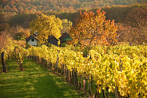 Foto: Burgenland-Tourismus-GmbH/Günther Ippisch