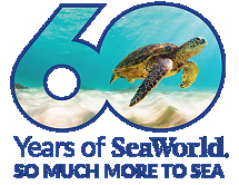 Foto: SeaWorld Parks & Entertainment