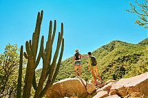 Foto: Los Cabos Tourism Board
