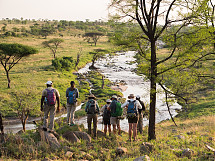 Foto: Windrose - Serengeti_Little Green Camp Central