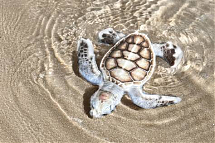 Foto: Six Senses
