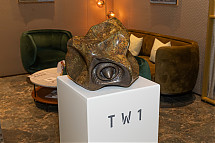 Foto: Krispl Art Inspirations/Christian Mikes
