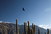 Foto: Alex Bryce / PROMPERÚ