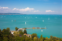 Foto: andras_csontos / shutterstock.com