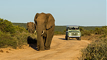 Foto: Carcharadon / shutterstock.com