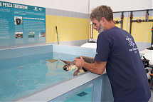 Foto: TUI Care Foundation