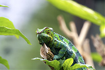 Foto: Jörg Ehrlich, DIAMIR Erlebnisreisen GmbH