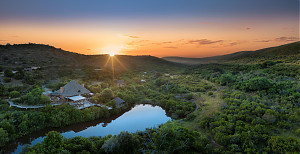 Foto: Shamwari Private Game Reserve