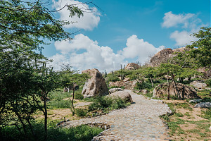 Foto: Ayrton Tromp / bereitgestellt von Aruba Tourism Authority