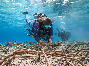 Foto: TUI Care Foundation