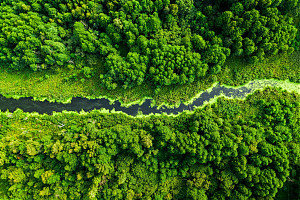 Foto: Shaiith  / shutterstock.com