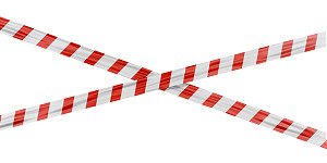 Foto: rommma / shutterstock.com