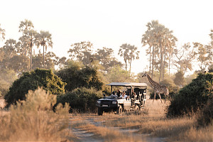 Foto: Wilderness