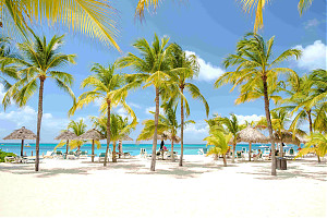 Foto: bereitgestellt von Restplatzbörse - Palmenstrand_(c)_shutterstock