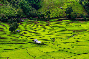 Foto: Aviareps / Thailand Tourism 