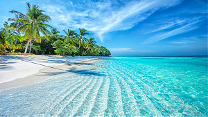 Foto: Altug Galip / shutterstock.com