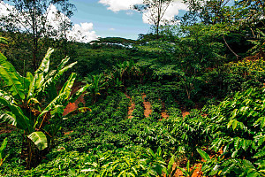 Foto:  Discover Puerto Rico