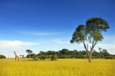 Foto: Kenya Tourism Board